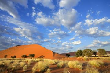 Namibia - Raue Schönheit am Atlantik